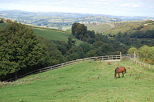 Bradnant Equestrian Centre