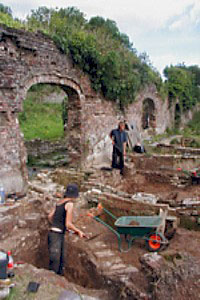 Cambrian Archaeology