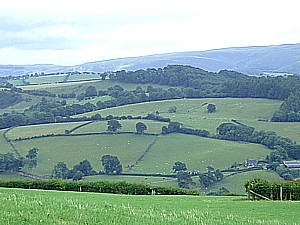 Cherrytree B&B