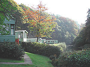 Clywedog Riverside Holiday Home Park