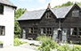 Glyngynwydd