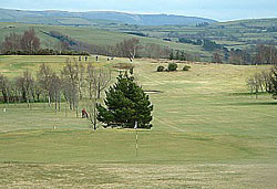 St Idloes Golf Club