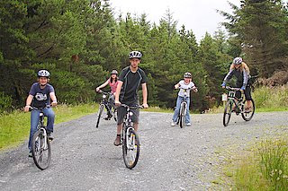 Hafren Cycle Hire