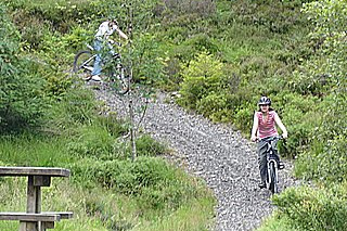 Hafren Cycle Hire
