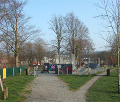 Llani Skaters