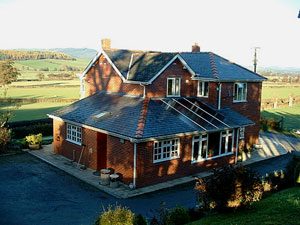 Llwyn