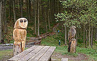 Nant-yr-Arian