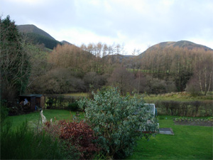 The Old School House