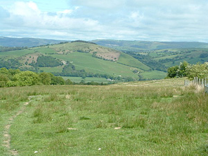 Tyn-y-Fron