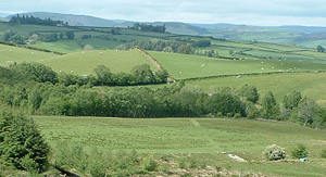 Tyn-y-Fron