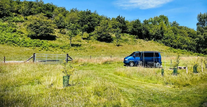 Belan Bluebell Woods Camping