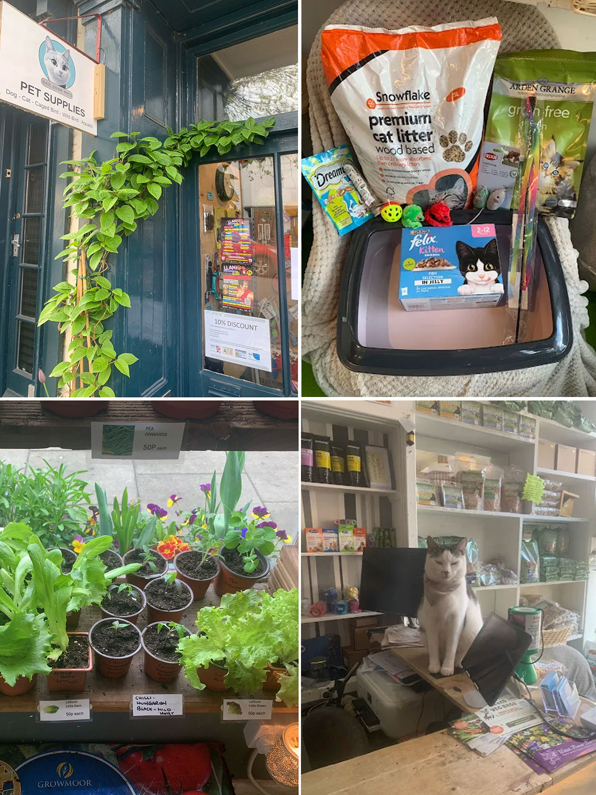 Oak Shop Pets
