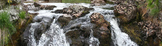 Severn Breaks its Neck Falls, Hafren Forest