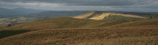 Cambrian Mountains