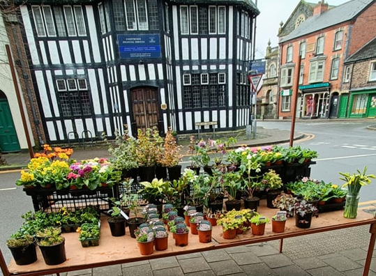 Llanidloes Charter Market