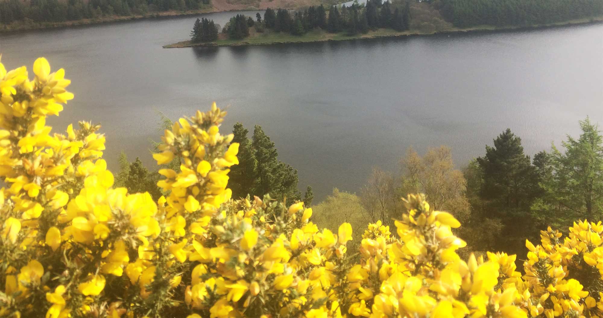 Llyn Clywedog
