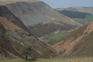 Valley near Llawryglyn