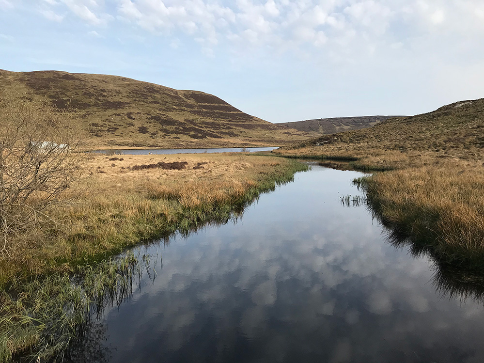 Glaslyn