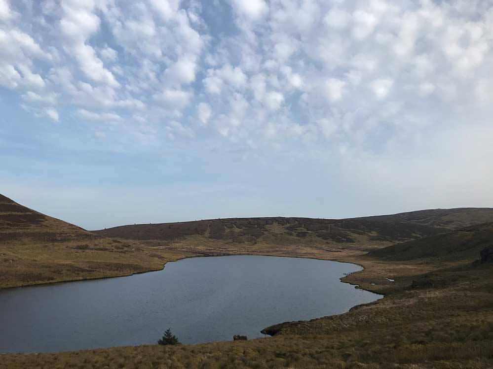 Glaslyn