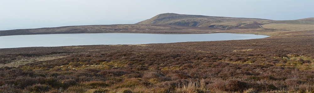 Glaslyn