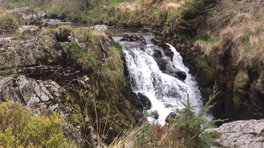 Hafren Forest trail