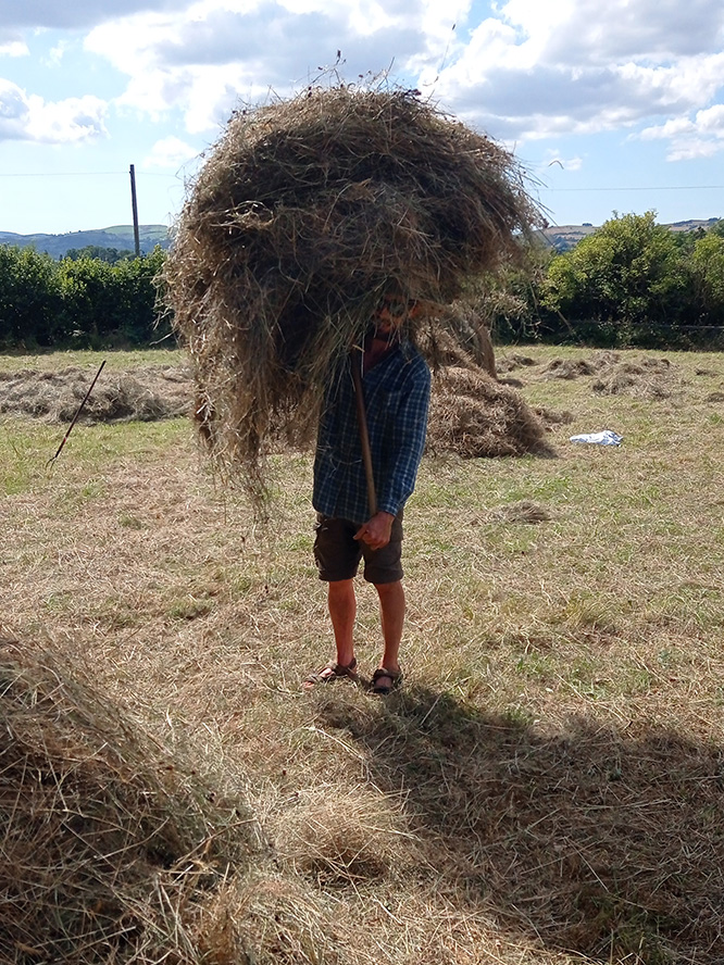 Danny Hodgson Hand Powered Traditional Land Based Skills