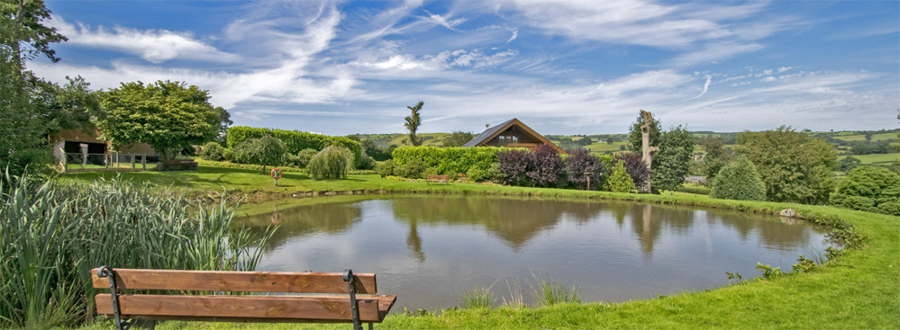 Grandstand Luxury Lodge