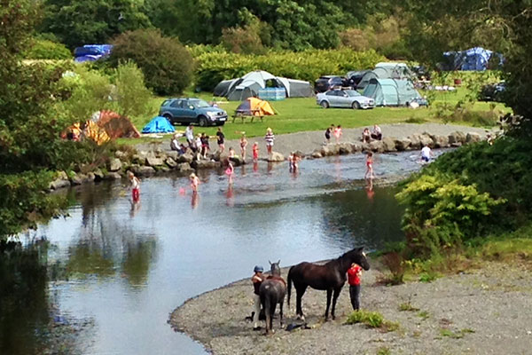 Dolllys-Farm-Caravan-and-Camping