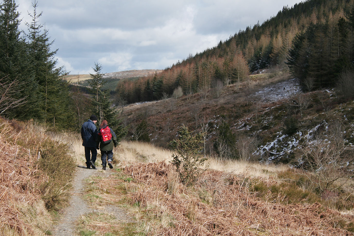 Walk Llanidloes