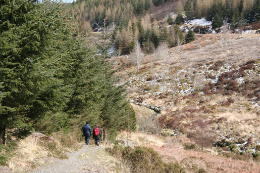 Walking on the Wye Valley Route in the Hafren Forest