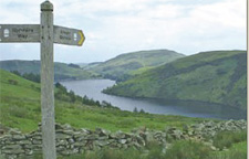 Walking Routes